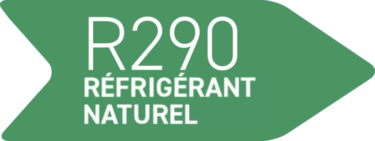 R290